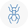 Ant Removals In Inverness
