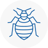Bed Bug Extermination In Inverness