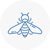 Bee Nest Removal Inverness