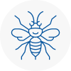 Inverness Hornet Nest Removals
