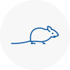Mice Exterminators In Inverness