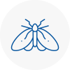 Moth Control Specialists In Inverness