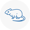 Rat Control Inverness