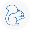 Inverness Rodent Removals