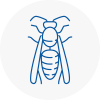 Inverness Wasp Nest Removal